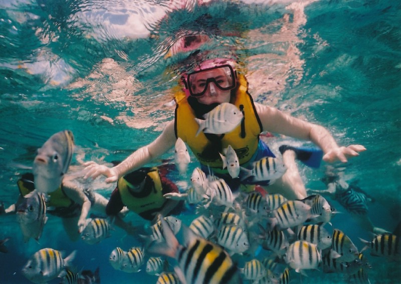 4D3N Amazing Snorkeling Semporna